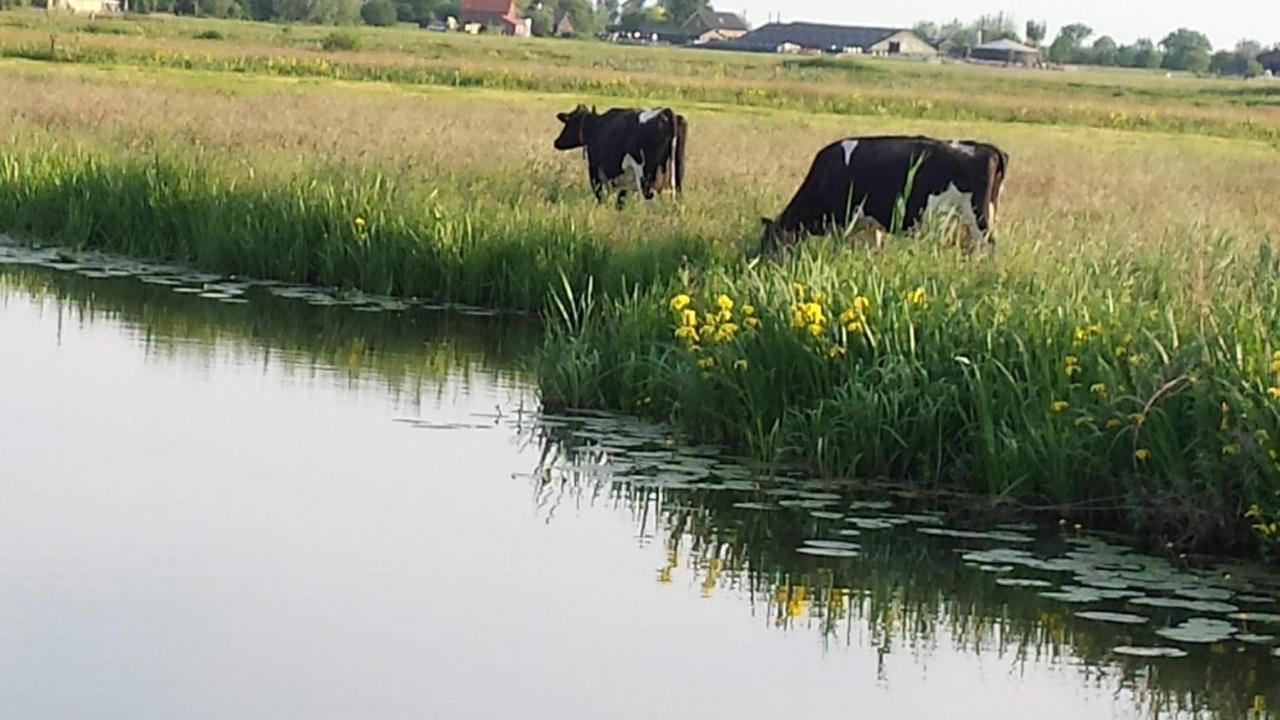 Couette-café Het Kraaienbosch *